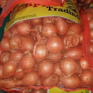 Grosir Bawang Bombay